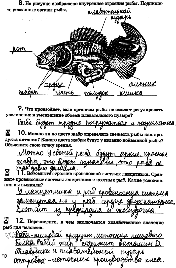 Иллюстрация к решению «Страница 50 с ответами ГДЗ Латюшин Рабочая тетрадь 7 класс (Биология)», 1