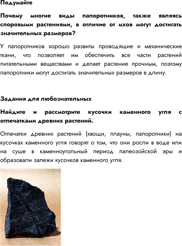 Иллюстрация к решению «Параграф 21 ГДЗ Пасечник 5 класс Бактерии Грибы Растения (Биология)», 5