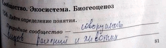 Иллюстрация к решению «Упр.156 ГДЗ Рабочая тетрадь Пасечник 9 класс (Биология)», 2