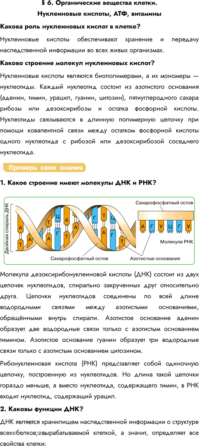 Иллюстрация к решению «Параграф 6 ГДЗ Каменский 10 класс (Биология)», 1