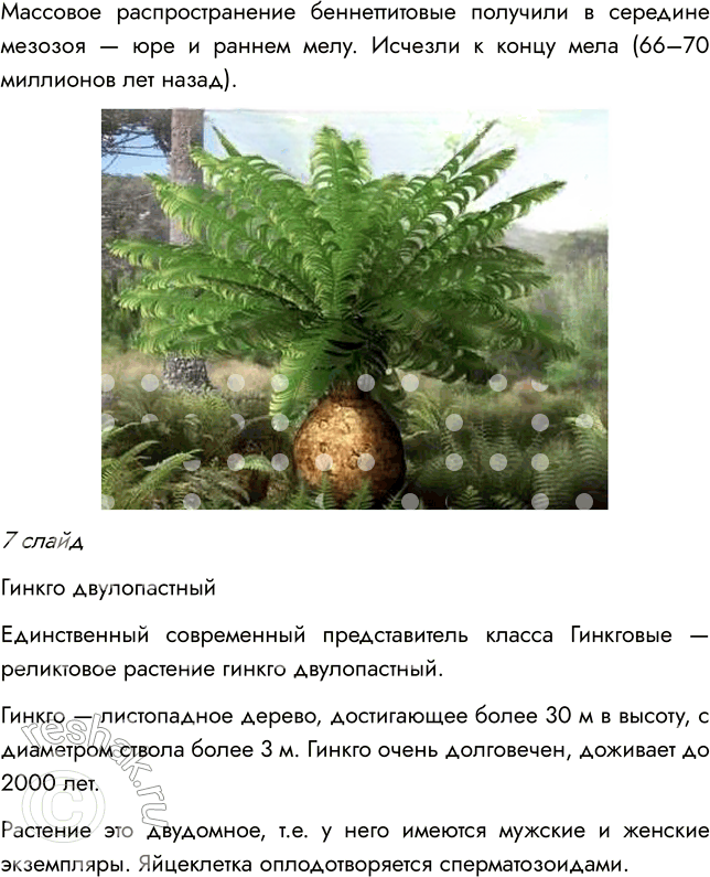 Иллюстрация к решению «Параграф 8 ГДЗ Пасечник Суматохин Гапонюк 7 класс (Биология)», 12
