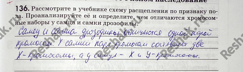 Иллюстрация к решению «Упр.136 ГДЗ Рабочая тетрадь Пасечник 9 класс (Биология)», 1
